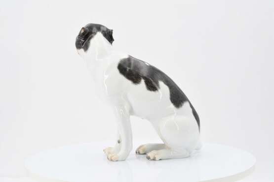 Meissen. Danish dog - photo 4