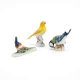 Meissen. Drei Vogelfiguren: Meise auf Nuss, Kanarienvogel und Fasan - Foto 1