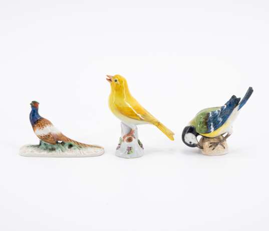 Meissen. Drei Vogelfiguren: Meise auf Nuss, Kanarienvogel und Fasan - фото 2