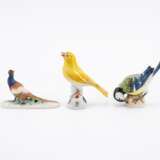 Meissen. Drei Vogelfiguren: Meise auf Nuss, Kanarienvogel und Fasan - фото 2