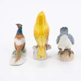 Meissen. Drei Vogelfiguren: Meise auf Nuss, Kanarienvogel und Fasan - photo 3