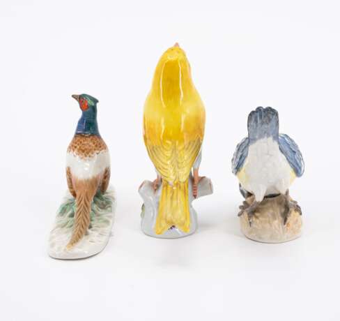 Meissen. Drei Vogelfiguren: Meise auf Nuss, Kanarienvogel und Fasan - фото 3