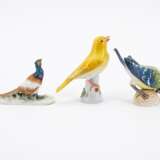 Meissen. Drei Vogelfiguren: Meise auf Nuss, Kanarienvogel und Fasan - photo 4