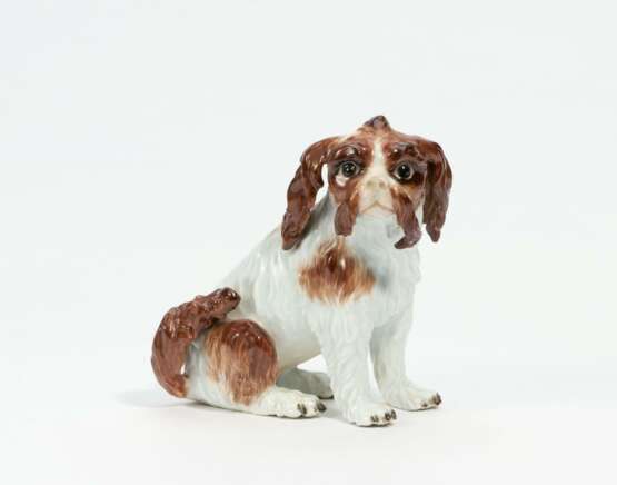 Meissen. Small bolognese dog - Foto 1