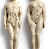 Paar Anatomische Studien-Figuren. Wohl Italien, 2. Hälfte 18. Jahrhundert - photo 1