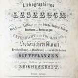 Lithographirtes Lesebuch - фото 1