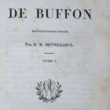 Buffon, G.L.L.de. - Foto 1