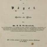 Reichenbach, A.B. - фото 1