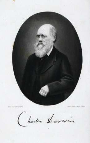 Darwin, C. - photo 2