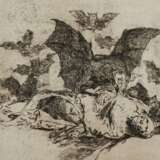 Goya, Francisco de - photo 6