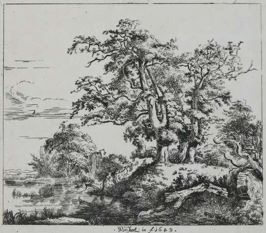 Ruisdael, Jacob Isaackszoon - фото 1