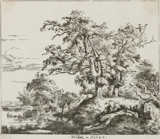 Ruisdael, Jacob Isaackszoon - фото 1