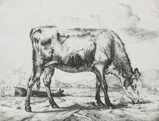 Velde, Adriaen van de - Foto 1