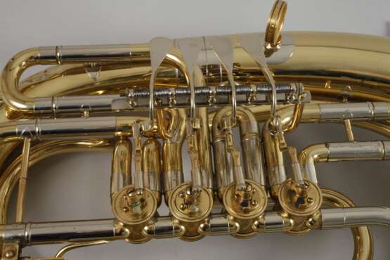 Tenorhorn im Etui - photo 2