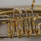 Tenorhorn im Etui - photo 2