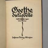 Goethe, Die Novelle - photo 1