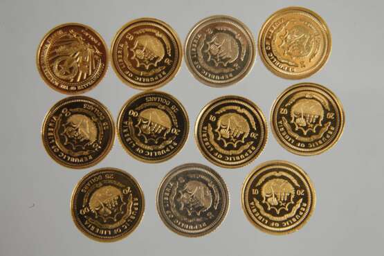Elf Münzen Gold 999 - photo 5