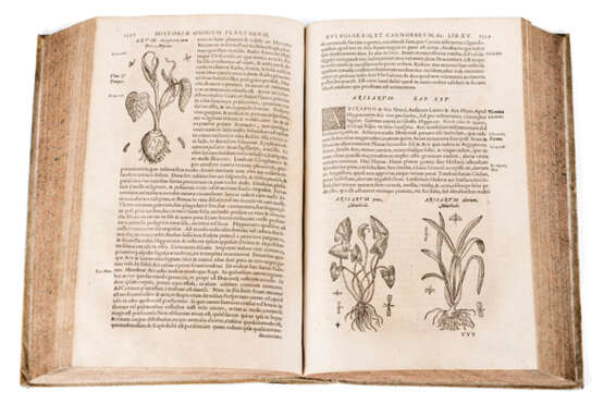 HISTORIAE GENERALIS PLANTARUM. PARS ALTERA, LYON 1586 - Foto 2
