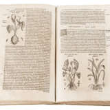 HISTORIAE GENERALIS PLANTARUM. PARS ALTERA, LYON 1586 - photo 2
