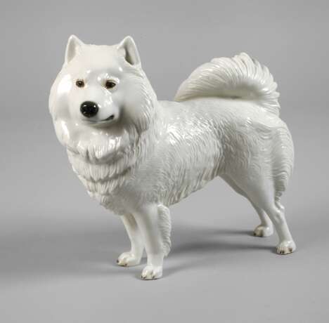 Nymphenburg "Polar-Spitz" - photo 1