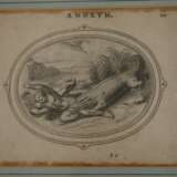 Cornelis Boel, Aus "Amorum emblemata" - фото 5
