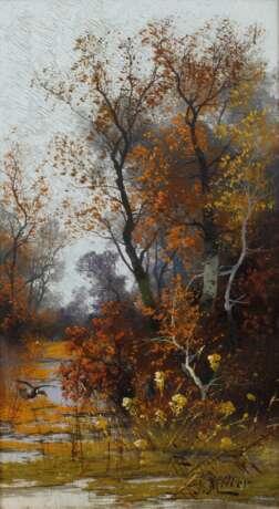 J. Miller, Herbstlicher See mit Ente - Foto 1