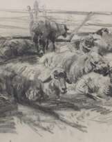 Wolf, Georg (1882 Düsseldorf- 1962 Uelzen) "Schafherde", Zeichnung, unsign., am rechten unteren Rand besch., 27x35 cm, ungerahmt