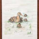 Scheutzlich, Sonja "Enten", aquarellierte Federzeichnung, sign. u.r. und dat. ´99, 39x29 cm, hinter Glas und Rahmen - photo 1