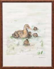 Scheutzlich, Sonja &quot;Enten&quot;, aquarellierte Federzeichnung, sign. u.r. und dat. ´99, 39x29 cm, hinter Glas und Rahmen