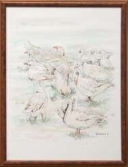 Scheutzlich, Sonja &quot;Gänse&quot;, aquarellierte Federzeichnung, sign. u.r. und dat. ´99, 39x29 cm, hinter Glas und Rahmen