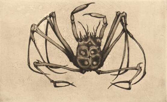 Derpapas, Georgios (1937-2014) "Krabbe" 1961, Radierung, wohl Griffelkunst, u.r. sign., PM 20,5x33,5cm, BM 38,2x54cm, leicht fleckig - Foto 1