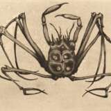 Derpapas, Georgios (1937-2014) "Krabbe" 1961, Radierung, wohl Griffelkunst, u.r. sign., PM 20,5x33,5cm, BM 38,2x54cm, leicht fleckig - photo 1