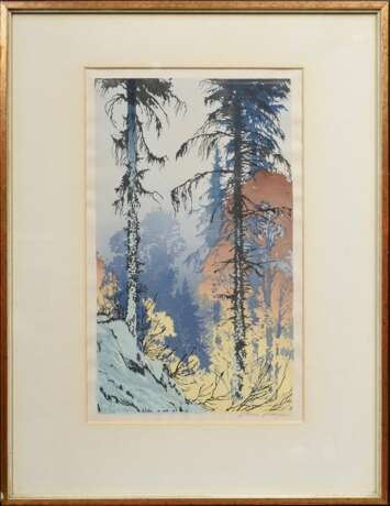 Droege, Oscar (1898-1983) "Wald", Farbholzschnitt, u.r. sign., PM 39,8x23,2cm (m.R. 60x46,5cm), leicht wellig - Foto 2