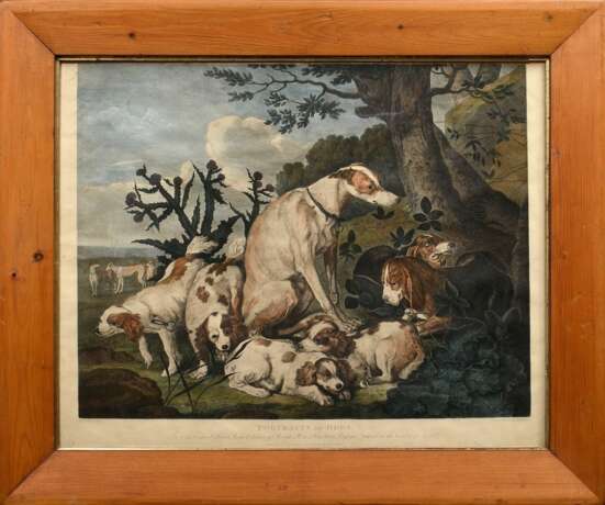 Lerpinière, Daniel (c.1745-1785) "Portraits of Dogs", color. Kupferstich, nach Jan Fyt (1611-1661), in heller Leiste mit Goldschlips, 48,5x61,5cm (m.R. 64x76cm), Altersspuren - photo 2
