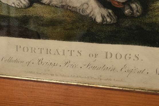 Lerpinière, Daniel (c.1745-1785) "Portraits of Dogs", color. Kupferstich, nach Jan Fyt (1611-1661), in heller Leiste mit Goldschlips, 48,5x61,5cm (m.R. 64x76cm), Altersspuren - фото 4