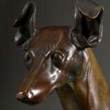 Reschke, Carl (1872-?) "Sitzender Windhund" 1910, Bronze, auf der Plinthe bez./dat., H. 36cm - Foto 5