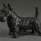Kleine Bronze "Scotch Terrier" in feiner Ausführung, Anfang 20.Jh., 8x11x3,3cm - photo 1