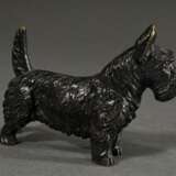 Kleine Bronze "Scotch Terrier" in feiner Ausführung, Anfang 20.Jh., 8x11x3,3cm - photo 2