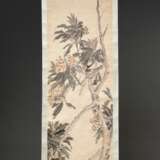 Chinesisches Rollbild "Vogel und Baum mit orangen Früchten", farbige Tusche auf Papier auf Seide montiert, Siegel, wohl 19.Jh., 208x58cm - Foto 1