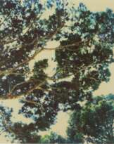 Cy Twombly