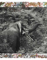 PETER BEARD (1938-2020)