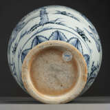 A RARE BLUE AND WHITE `WINDSWEPT`-STYLE MEIPING AND COVER - Foto 4