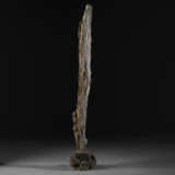 A TALL PETRIFIED WOOD `SCHOLAR`S ROCK` - Foto 2