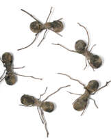 RAFAEL GÓMEZBARROS (B. 1972)