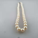 Perlenkette mit Silberschließe - champagnerfarbene Perlen mi… - photo 5