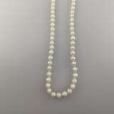 Perlenkette - 20.Jh., ca.104 cremefarbene Zuchtperlen mit te… - photo 2