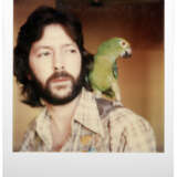 Eric Clapton with parrot, c.1976 - фото 1