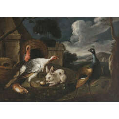 David de Coninck, Art des. Turkey couple, peacock, rabbit and hamster in front of the yard