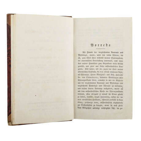 Juristische Schrift über Haustiere,1.H. 19. Jahrhundert. - Bernhard Ritter, - Foto 2