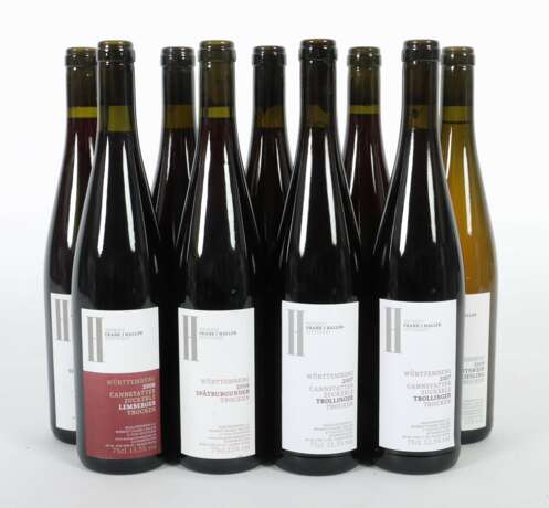 8 Flaschen Rotwein & 1 Flasche Weißwein Weingut Haller, Stut… - фото 1